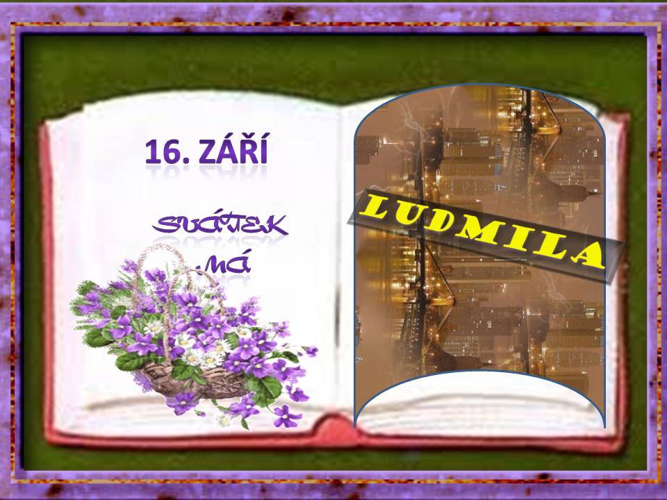 Snímek17