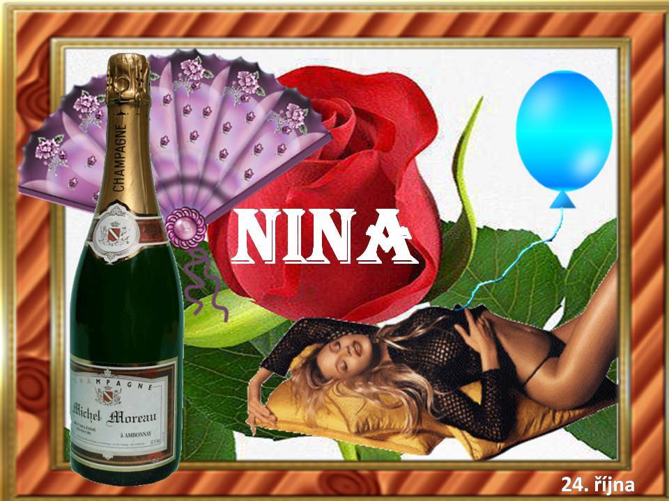Snímek25