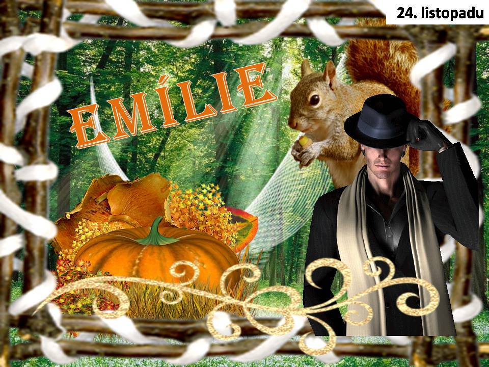 Snímek25
