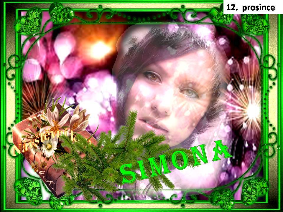 Snímek13