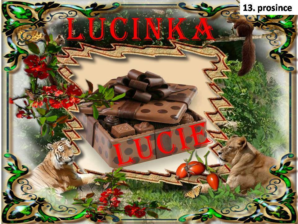 Snímek14