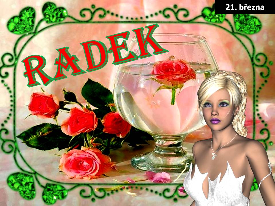 Snímek22