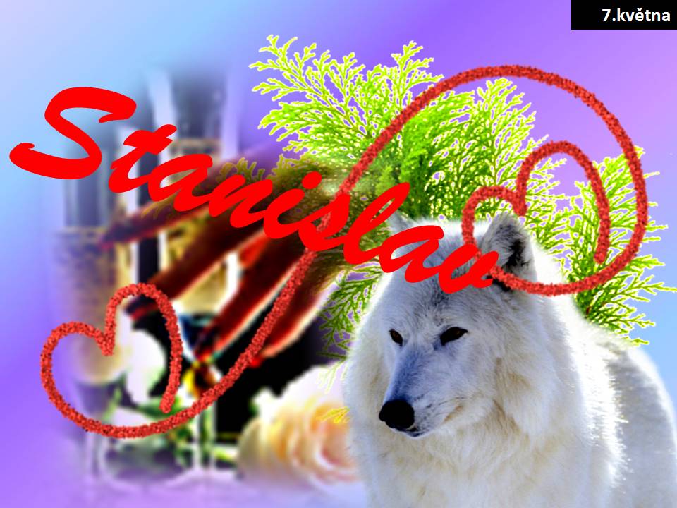Snímek8