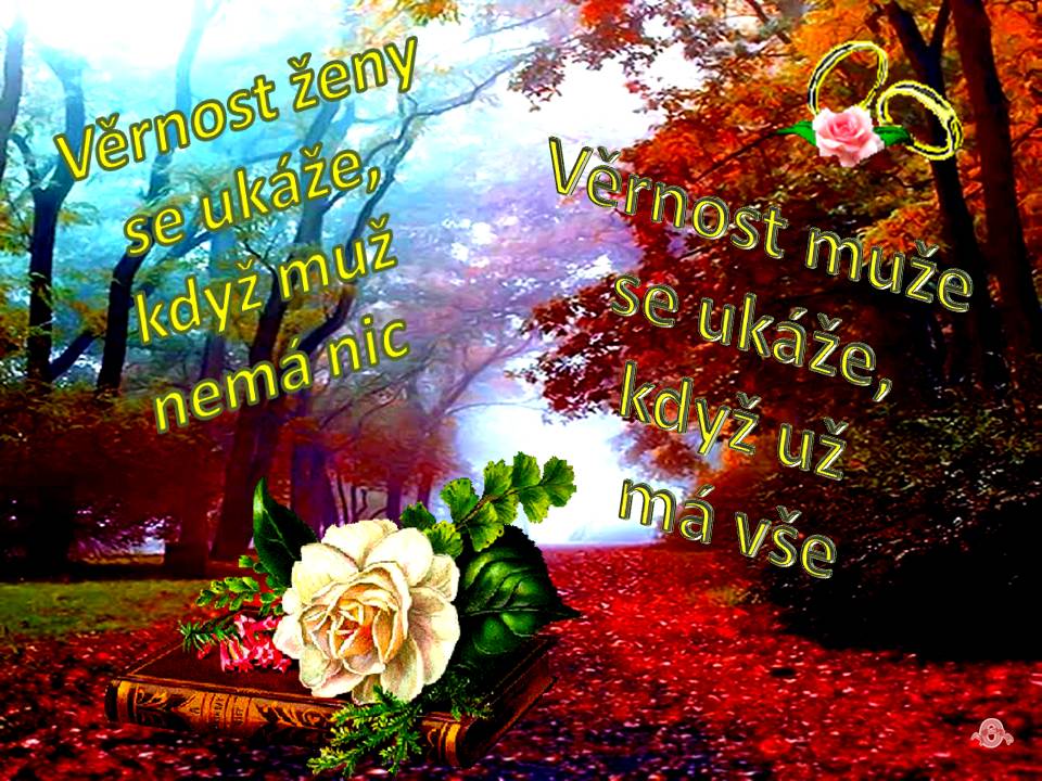 Snímek2 (3)