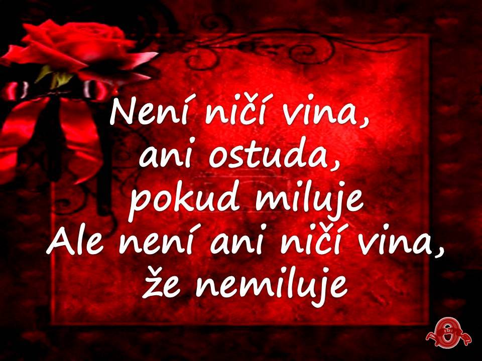 Snímek4