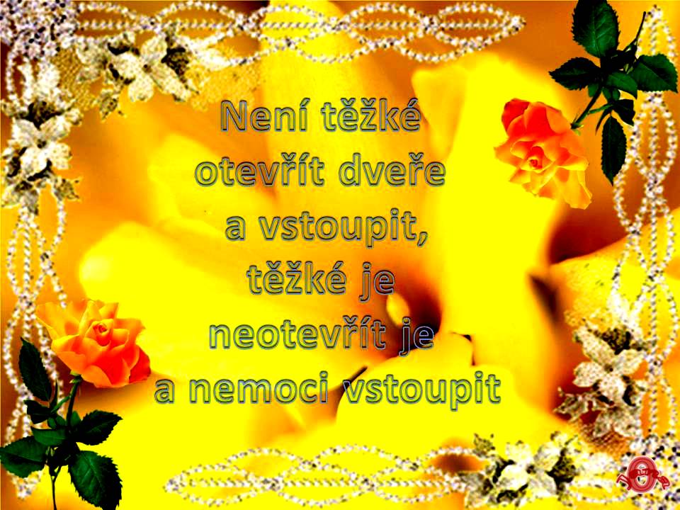 Snímek5 (2)