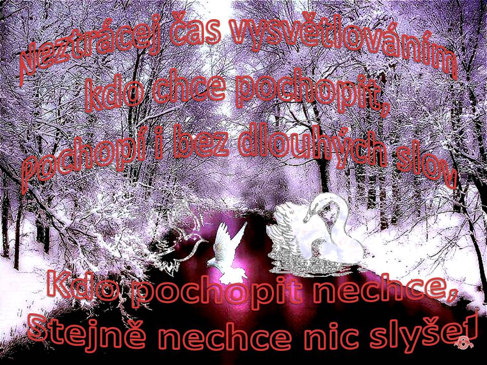 Snímek6 (2)