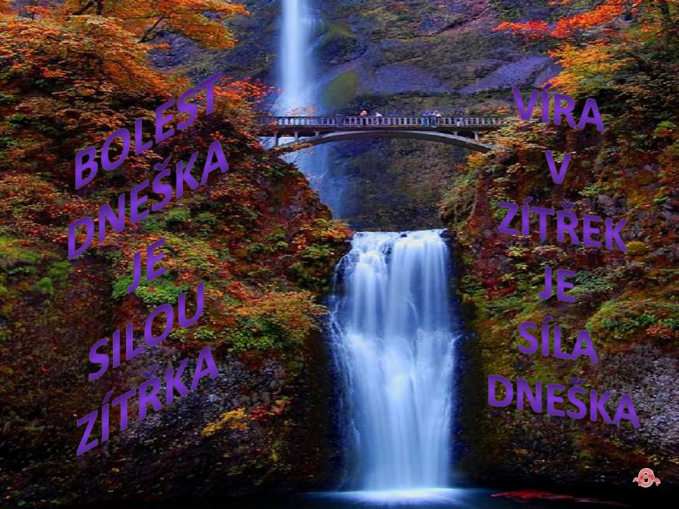 Snímek7 (2)