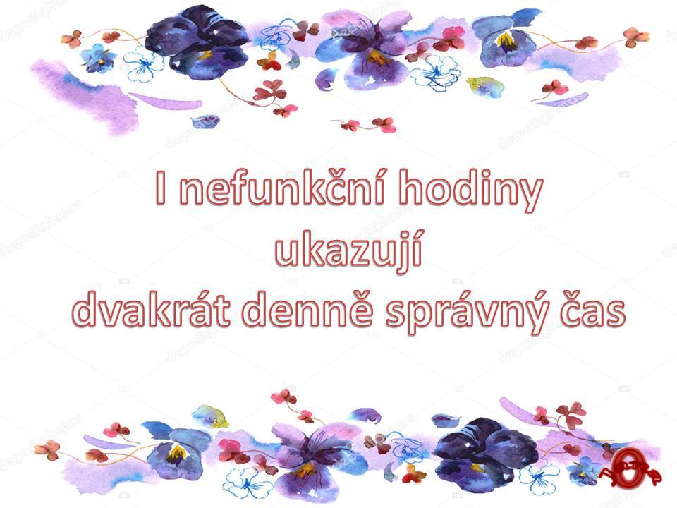 Snímek12