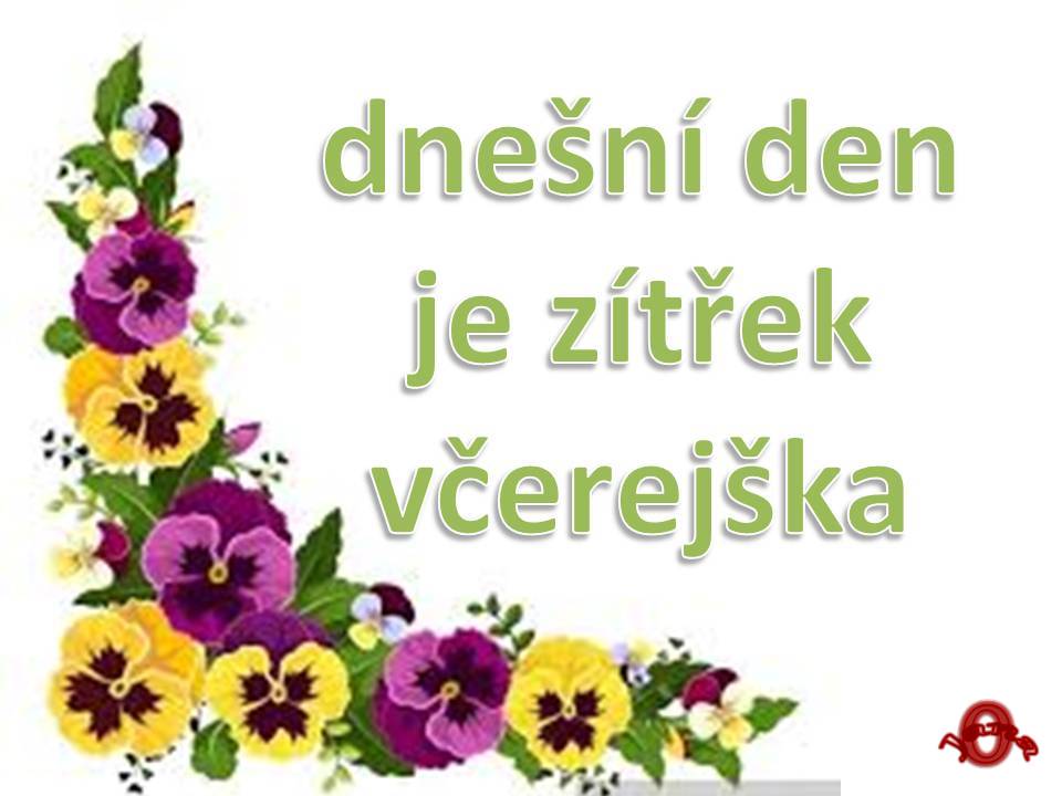 Snímek13