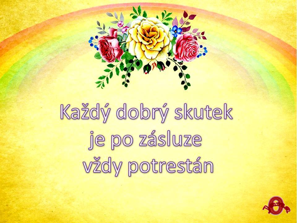 Snímek14