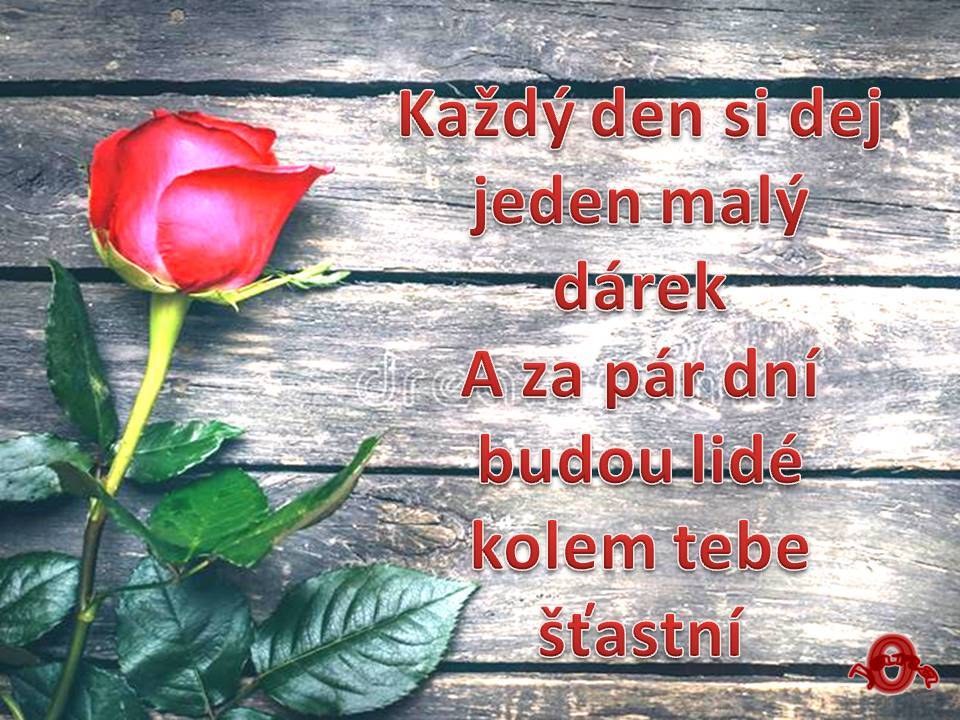 Snímek21