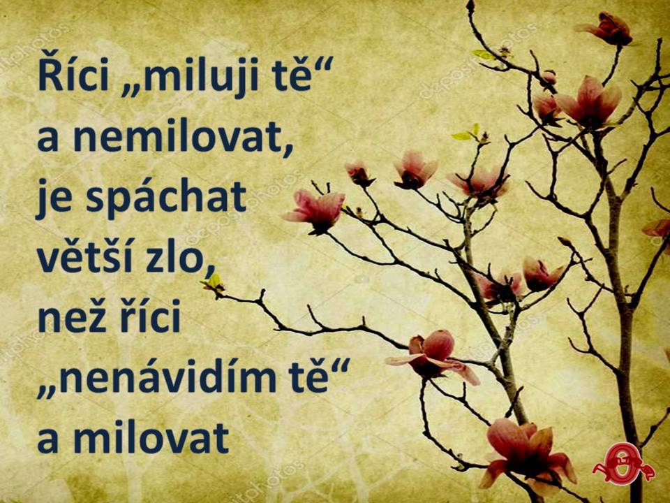 Snímek29
