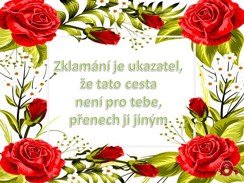 Snímek37