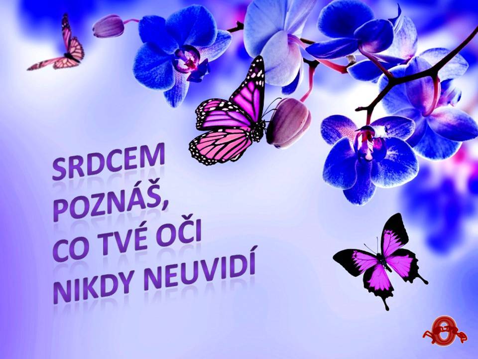 Snímek39