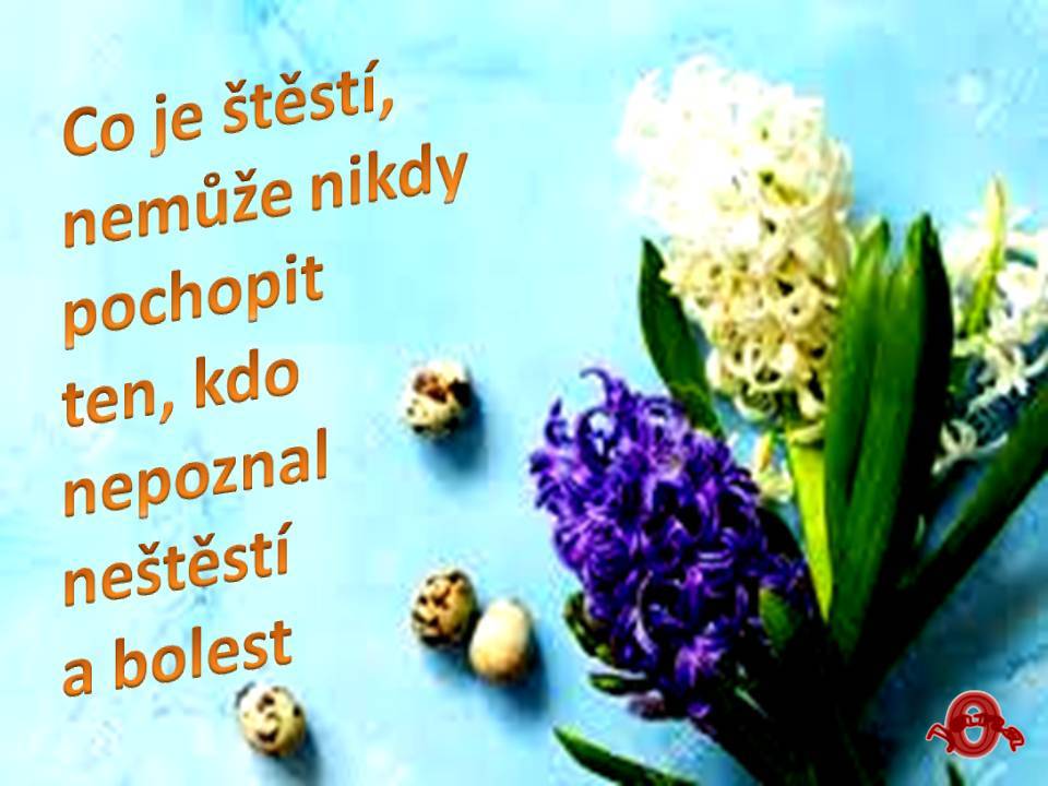 Snímek45