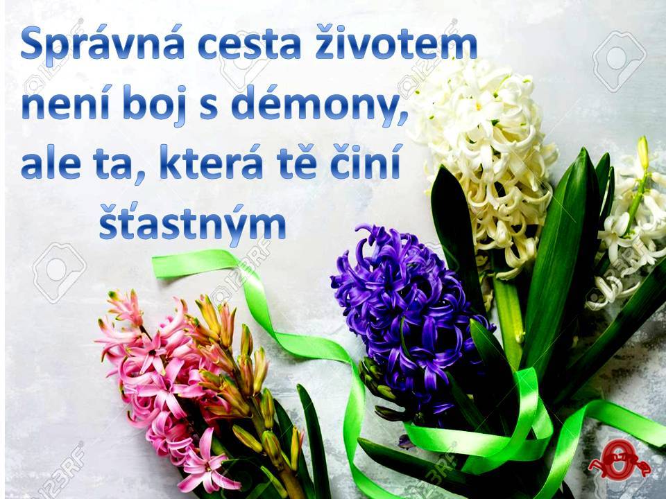 Snímek47