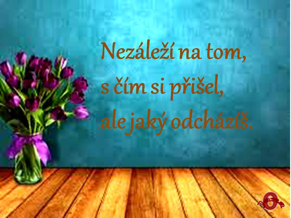 Snímek55