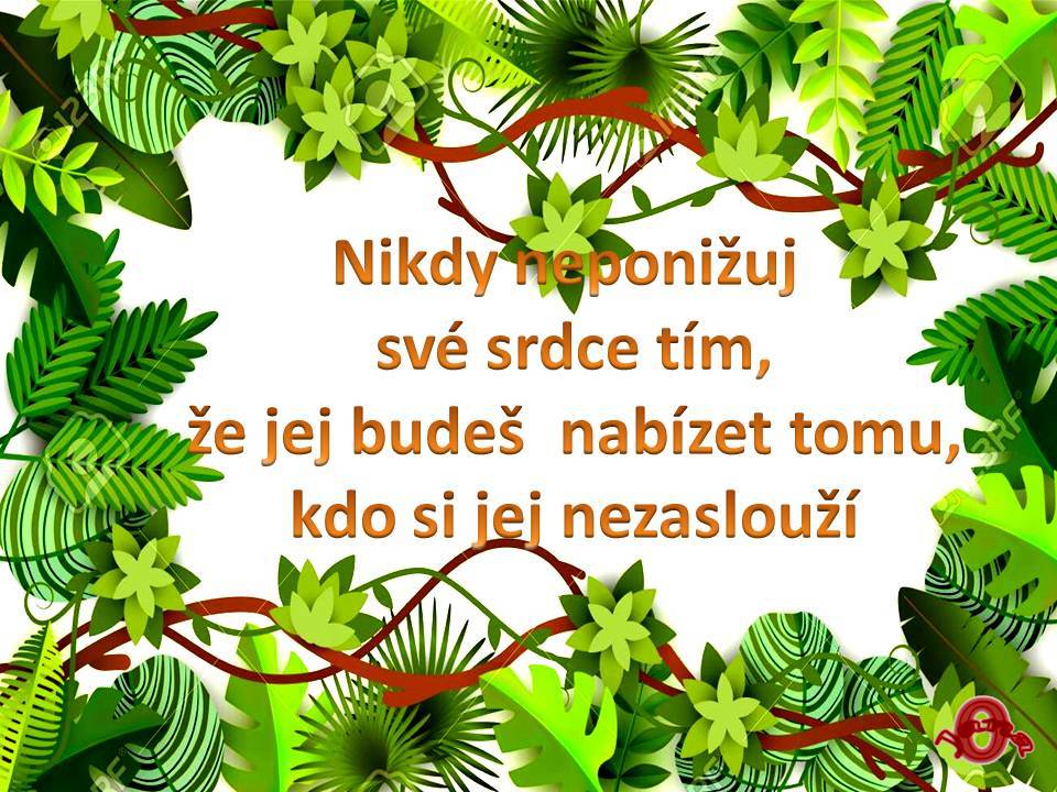 Snímek60