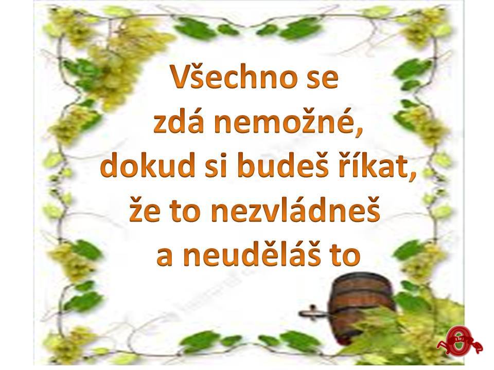 Snímek65