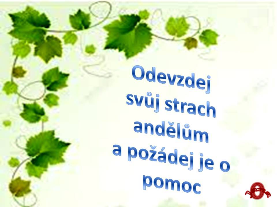 Snímek67