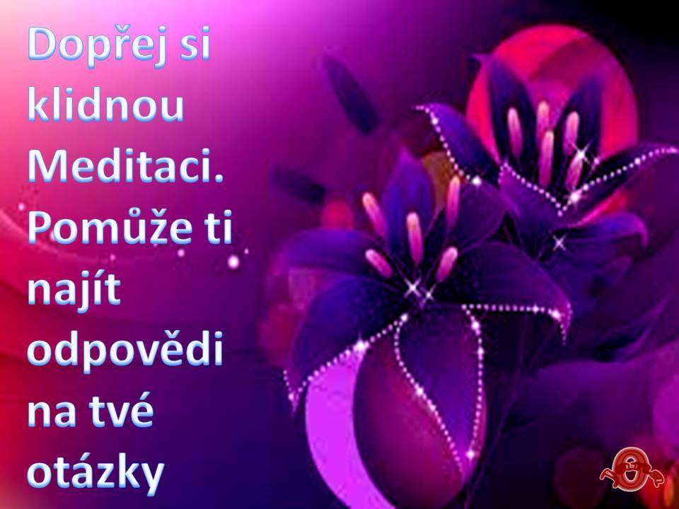 Snímek70