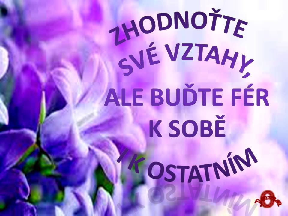 Snímek71