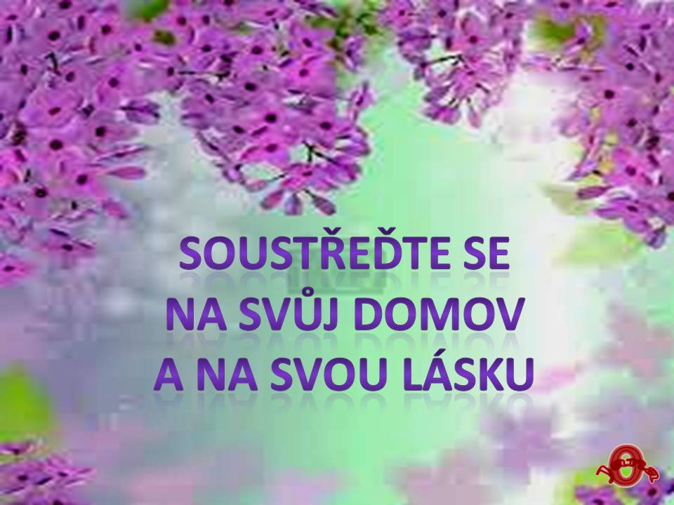 Snímek74