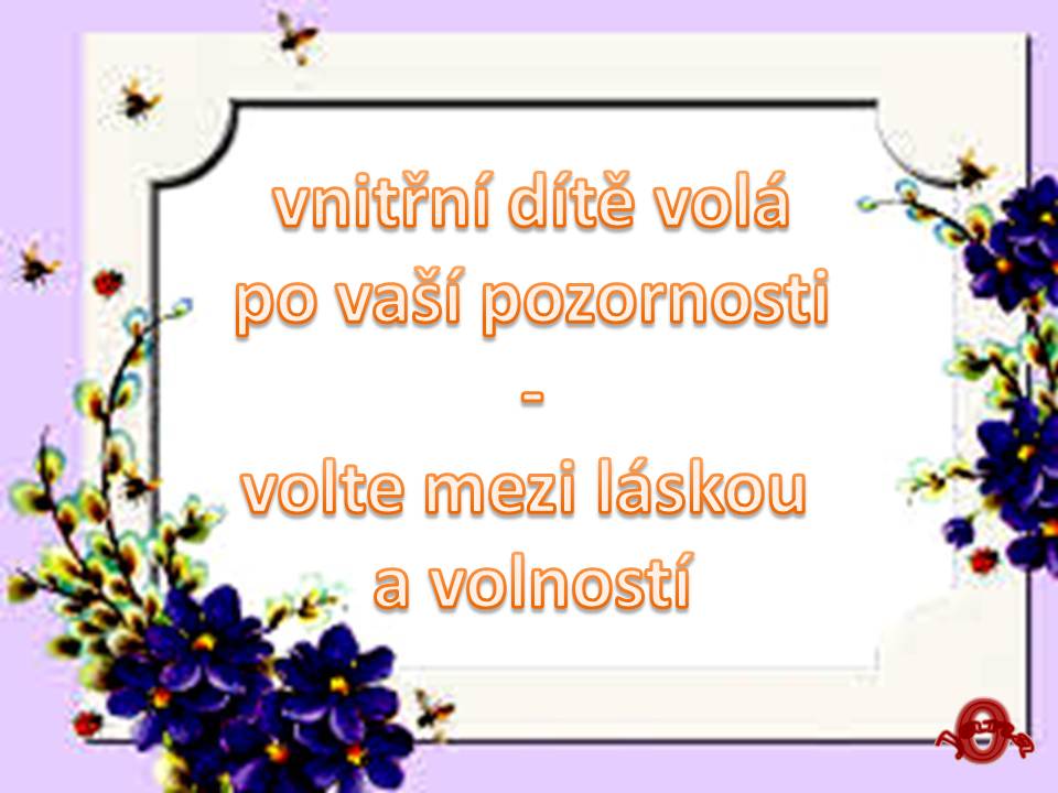 Snímek77