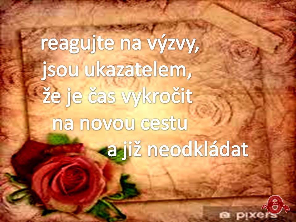 Snímek79