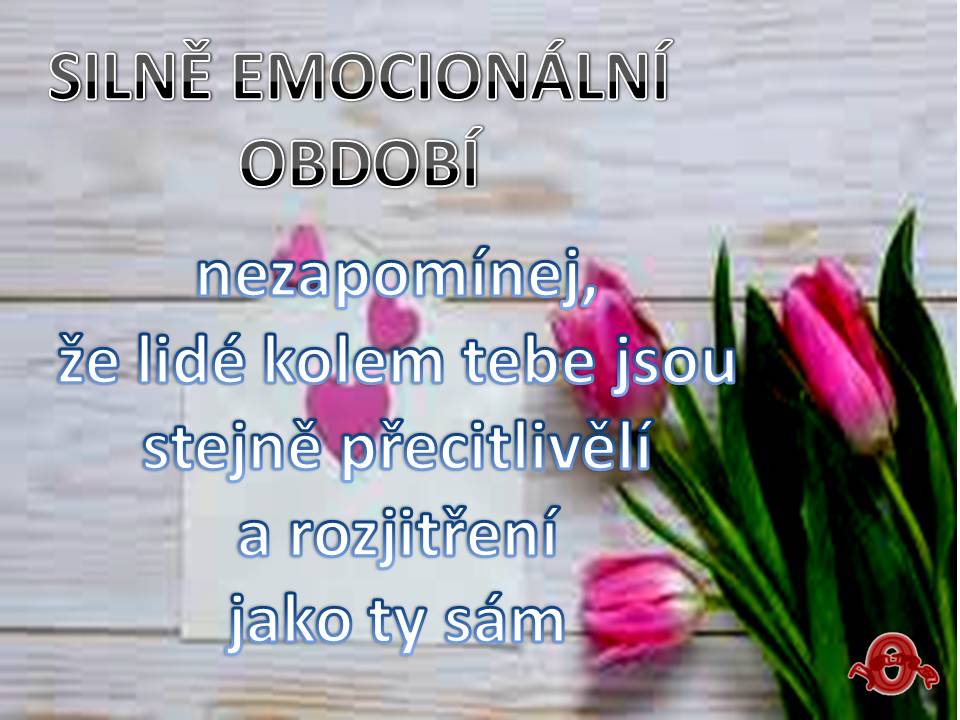 Snímek80
