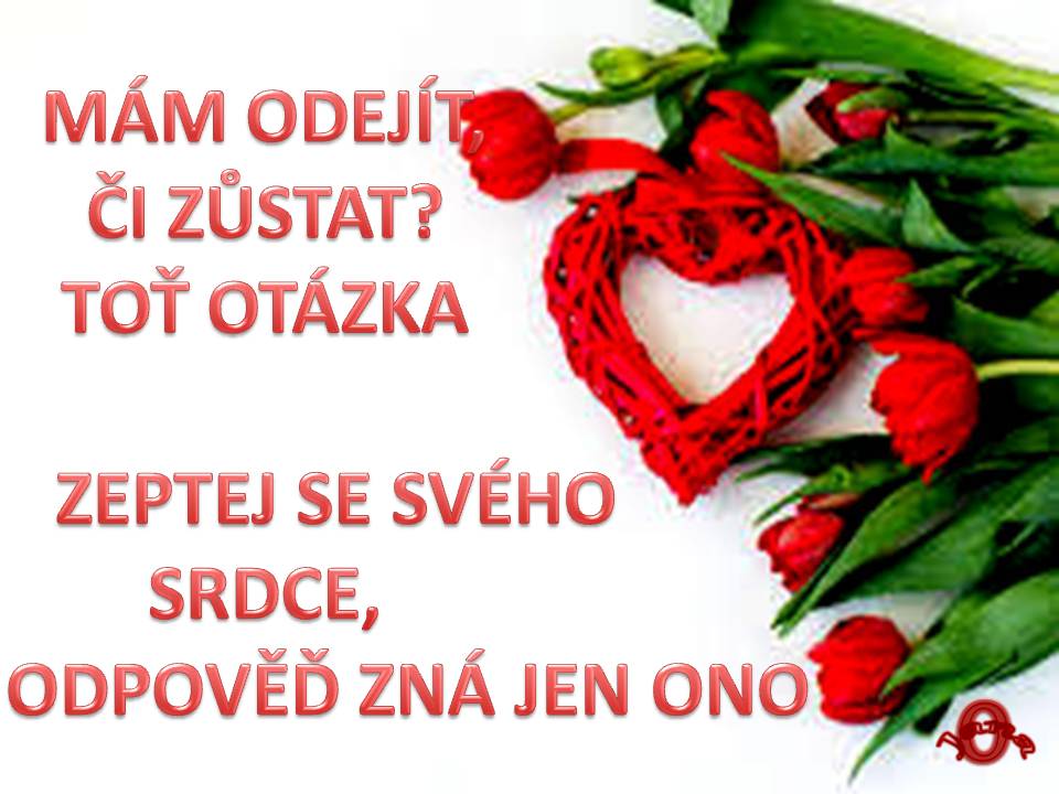 Snímek84