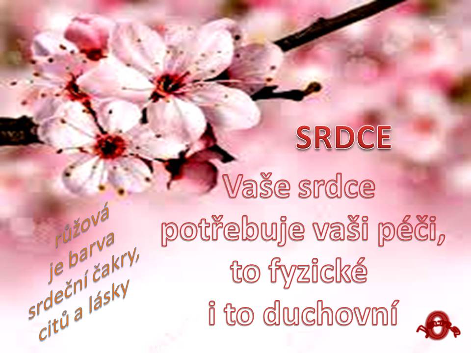 Snímek88