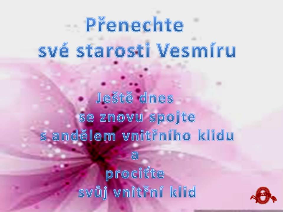 Snímek89
