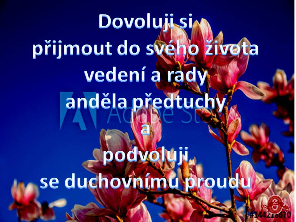 Snímek90