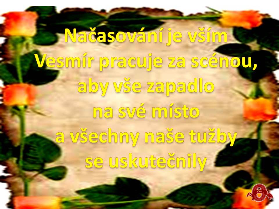 Snímek102
