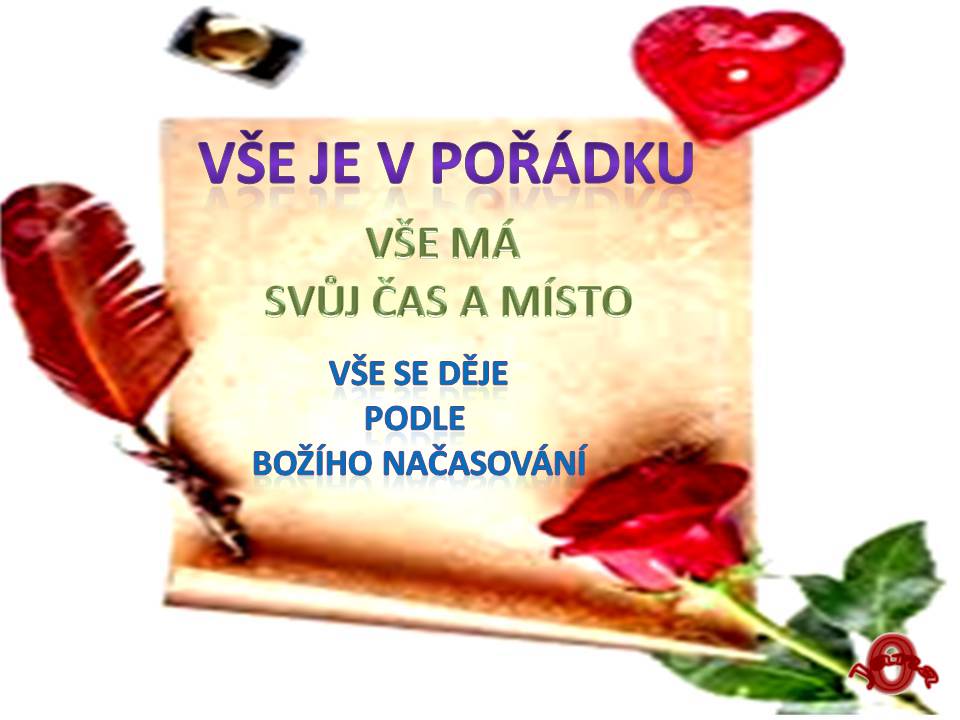 Snímek105